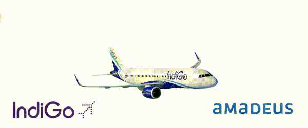 Grubunuz Hazırsa Biz de Hazırız! IndiGo'nun Avantajlı Fiyatlarını Keşfedin